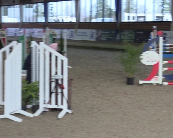 Reitturnier Heiden 2024