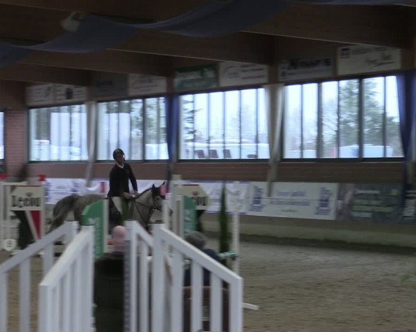 Reitturnier Heiden 2024