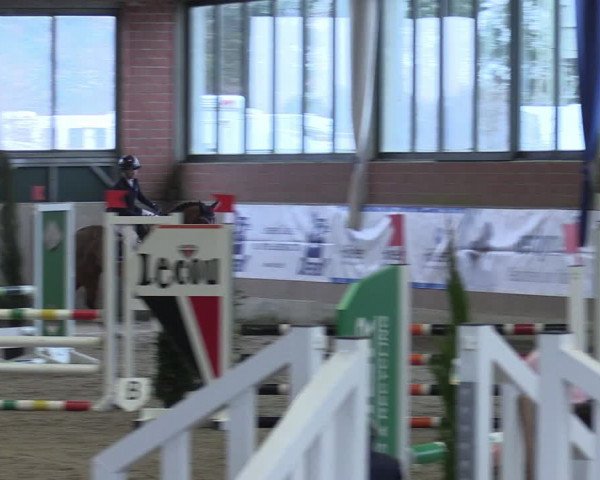 Reitturnier Heiden 2024