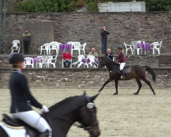 Erntedank Springturnier Nörten-Hardenberg 2021