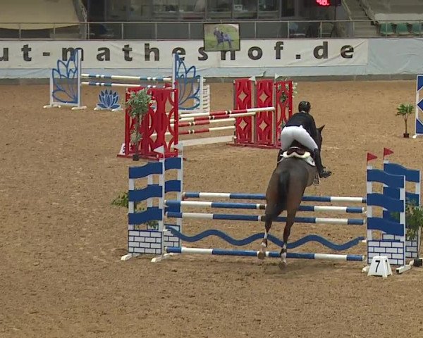 Reitturnier Kreuth/Opf. 2024