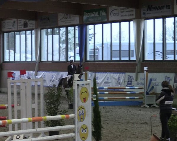Reitturnier Heiden 2024