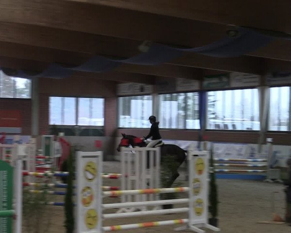 Reitturnier Heiden 2024