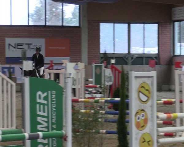 Reitturnier Heiden 2024
