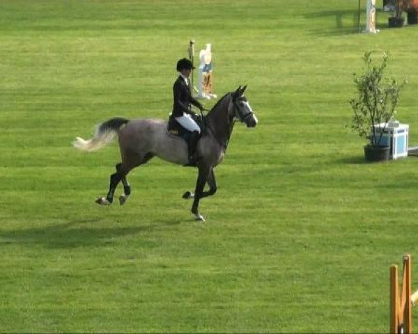 Riesenbeck INTERNATIONAL 2011