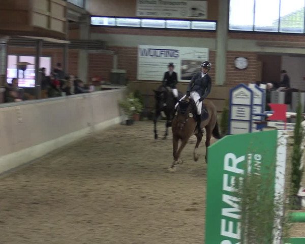 Reitturnier Heiden 2024