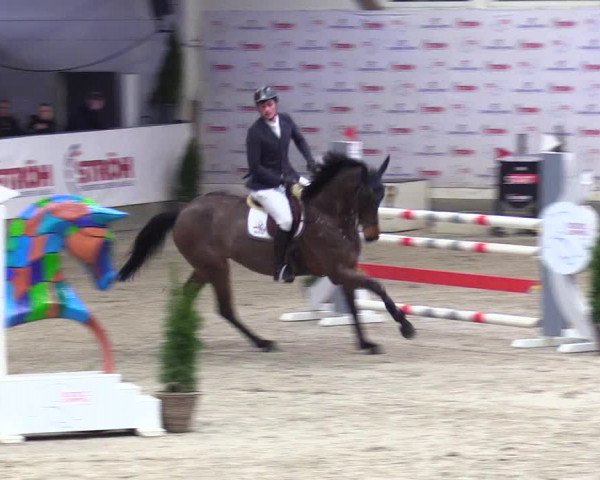 5. Nordic Jumping event Negernbötel 2024