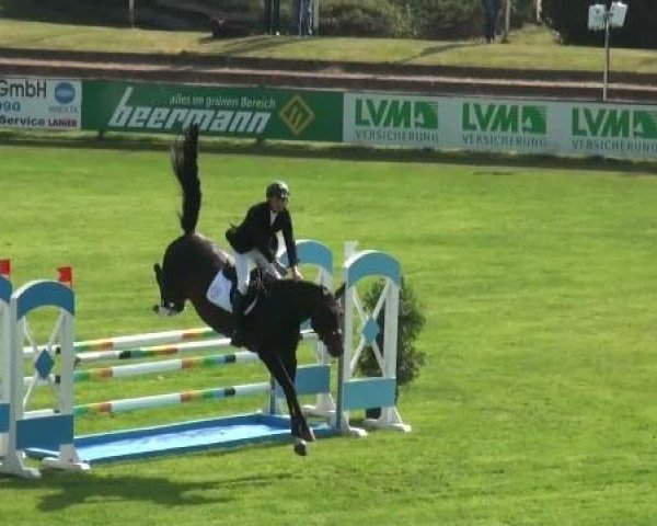 Riesenbeck INTERNATIONAL 2011