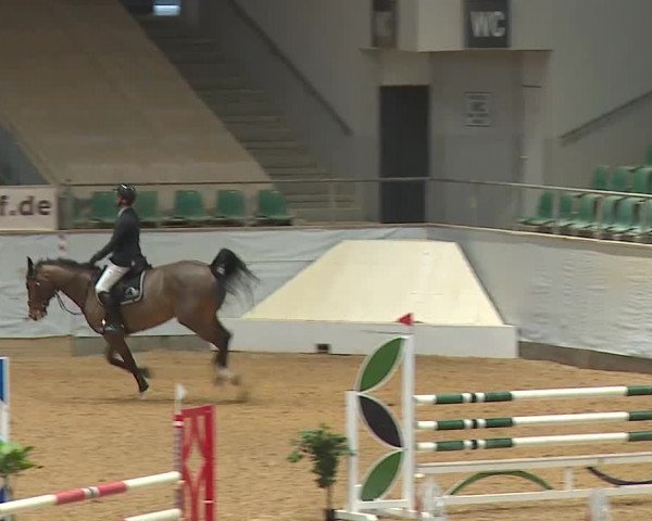 Reitturnier Kreuth/Opf. 2024