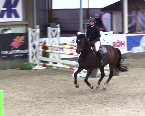 5. Nordic Jumping event Negernbötel 2024