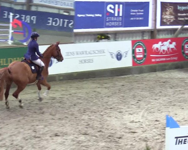 5. Nordic Jumping event Negernbötel 2024