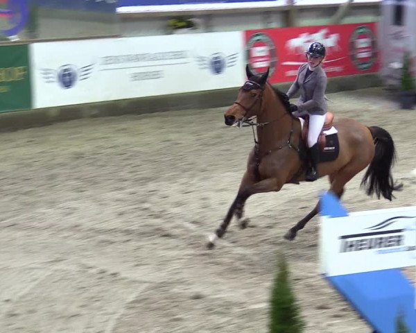 5. Nordic Jumping event Negernbötel 2024