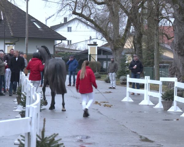 AWÖ Hengsttage 2024