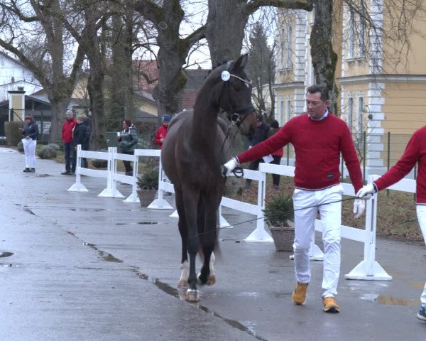 AWÖ Hengsttage 2024