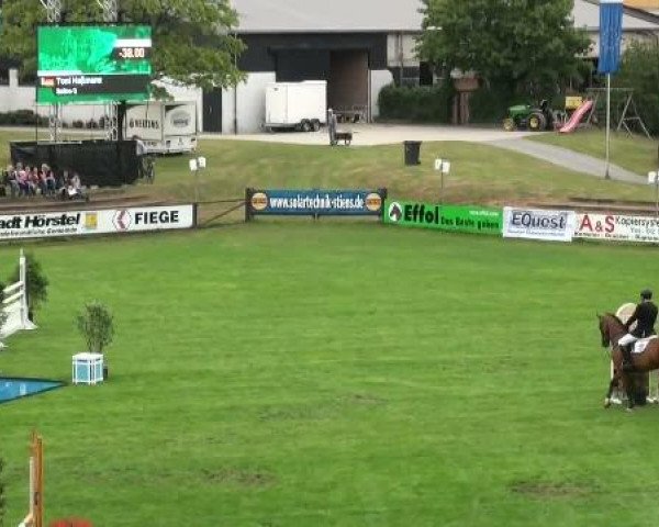 Riesenbeck INTERNATIONAL 2011