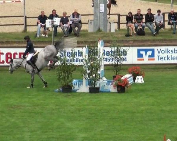 Riesenbeck INTERNATIONAL 2011