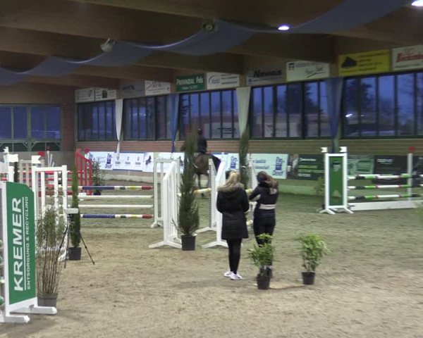 Reitturnier Heiden 2024