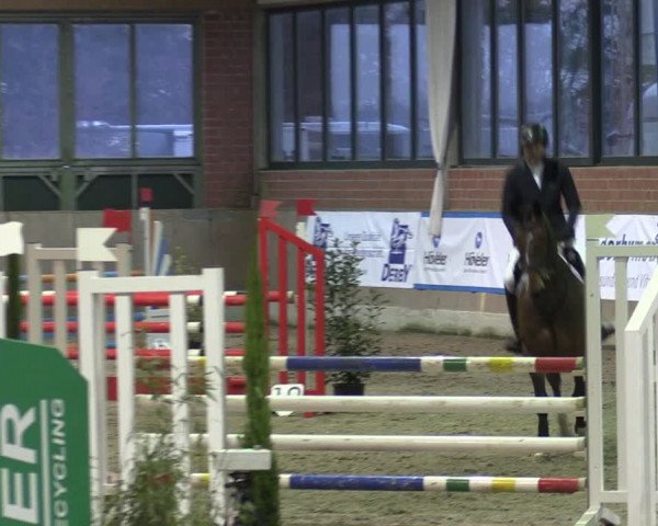 Reitturnier Heiden 2024
