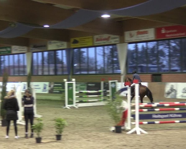 Reitturnier Heiden 2024