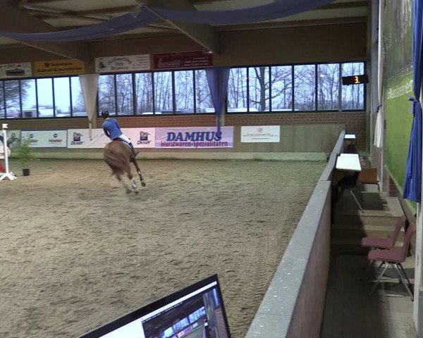 Reitturnier Heiden 2024
