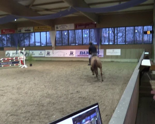 Reitturnier Heiden 2024