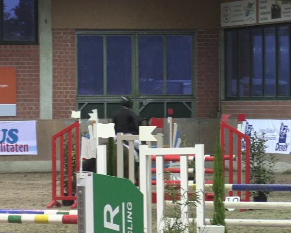 Reitturnier Heiden 2024
