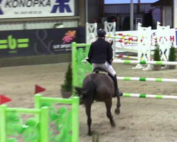 5. Nordic Jumping event Negernbötel 2024