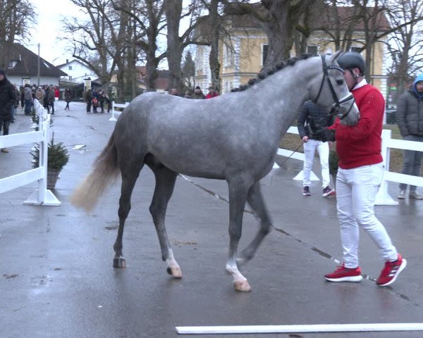 AWÖ Hengsttage 2024