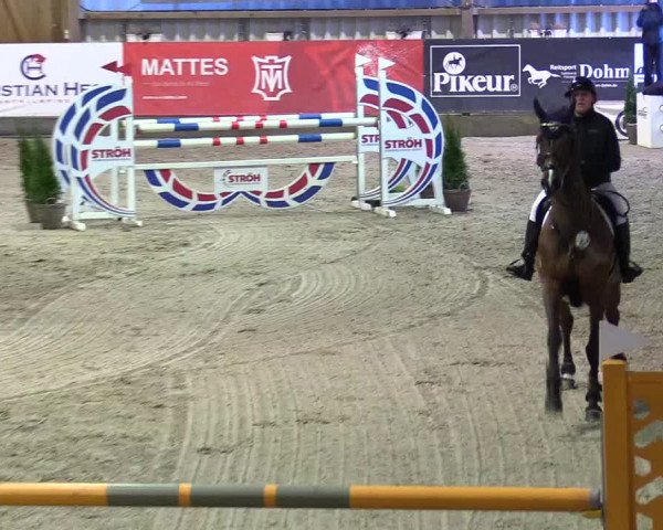 5. Nordic Jumping event Negernbötel 2024