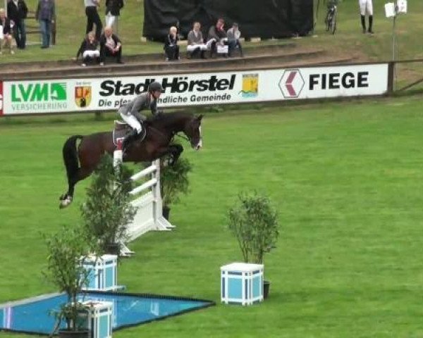 Riesenbeck INTERNATIONAL 2011