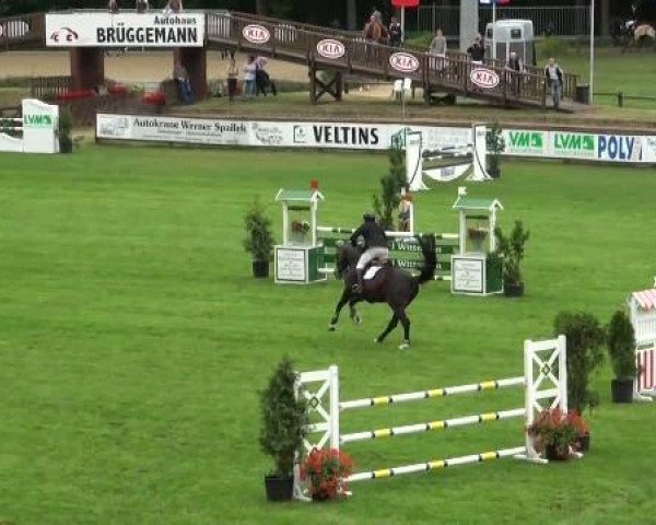 Riesenbeck INTERNATIONAL 2011