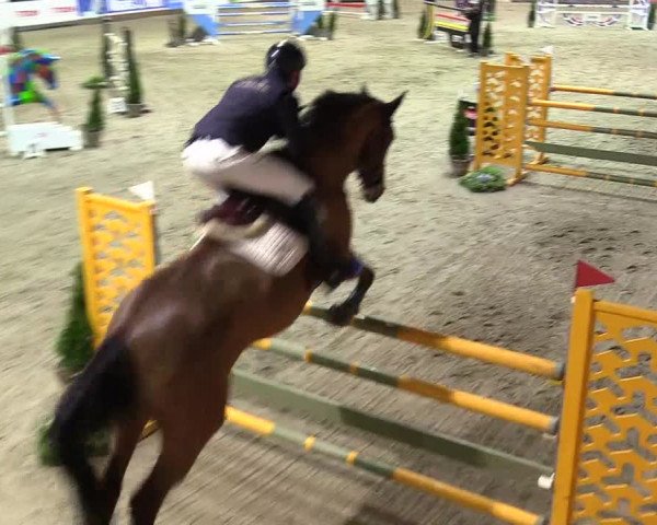 5. Nordic Jumping event Negernbötel 2024