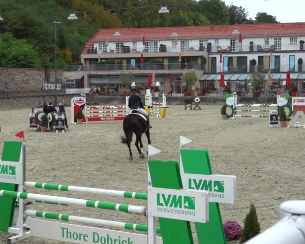 Erntedank Springturnier Nörten-Hardenberg 2021