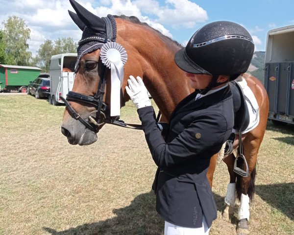 Dressurpferd Daddys Darling 3 (Deutsches Reitpony, 2013, von Donnerwetter)