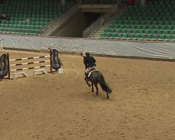 Reitturnier Kreuth/Opf. 2024