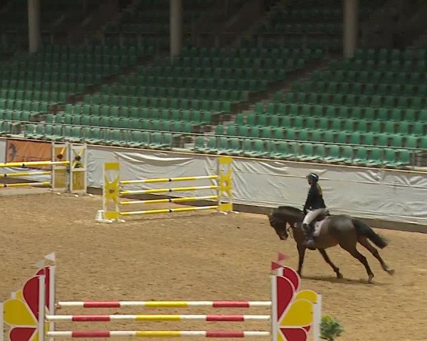 Reitturnier Kreuth/Opf. 2024