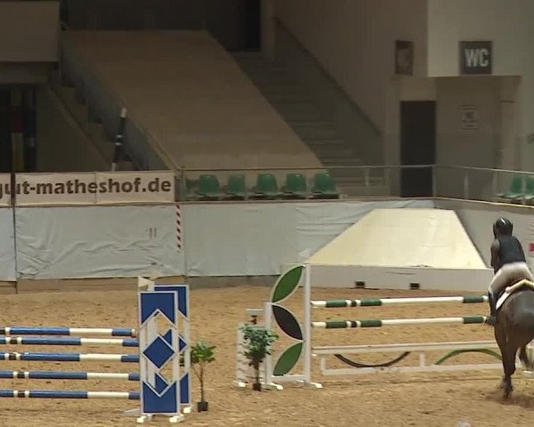 Reitturnier Kreuth/Opf. 2024