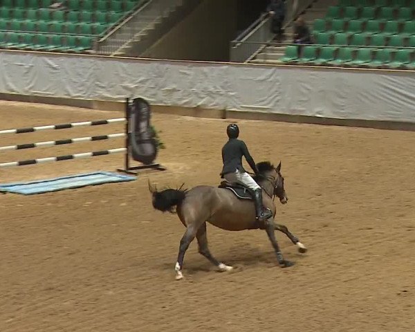 Reitturnier Kreuth/Opf. 2024