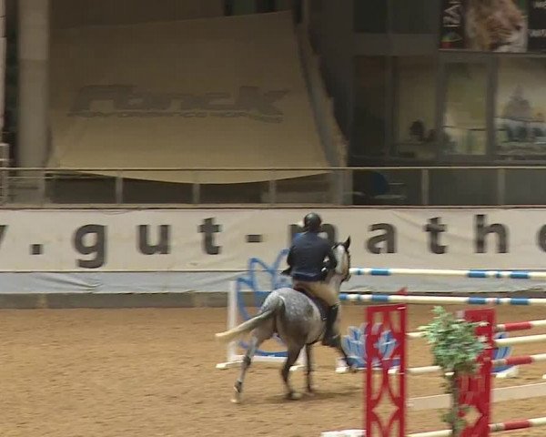 Reitturnier Kreuth/Opf. 2024