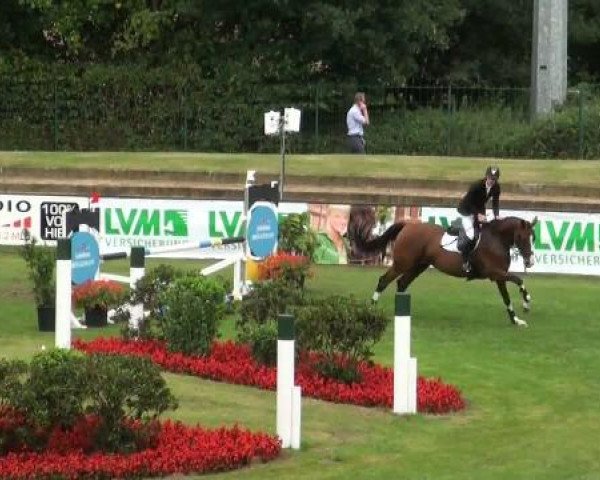 Riesenbeck INTERNATIONAL 2011