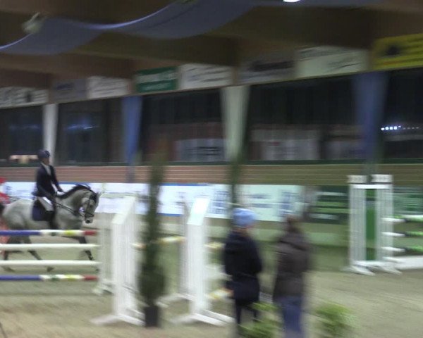 Reitturnier Heiden 2024