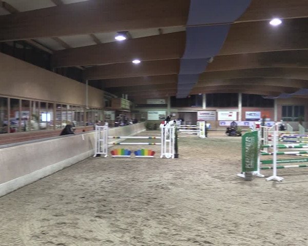 Reitturnier Heiden 2024