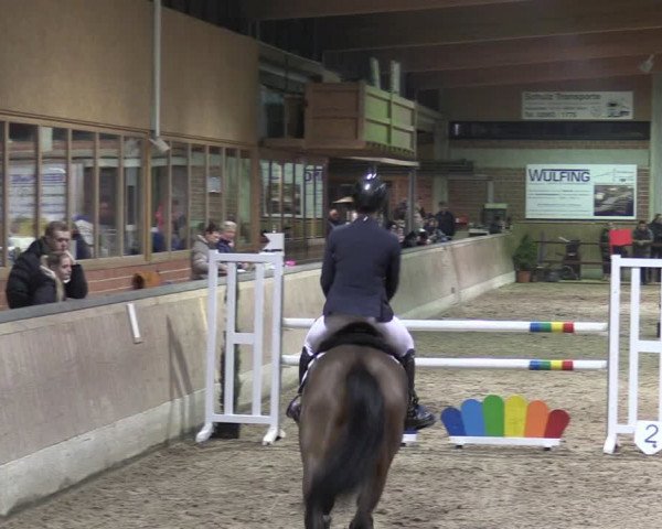 Reitturnier Heiden 2024