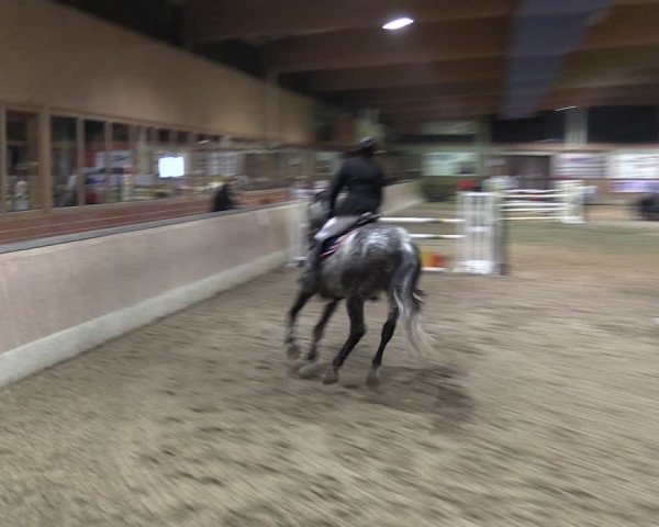 Reitturnier Heiden 2024