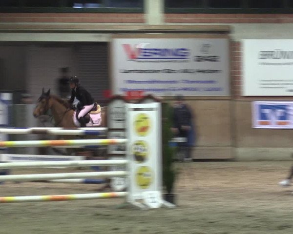 Reitturnier Heiden 2024