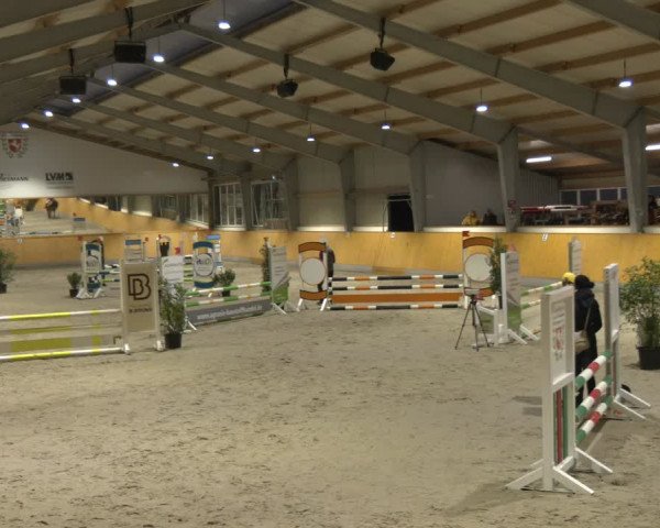 Reitturnier Münster-Amelsbüren 2024