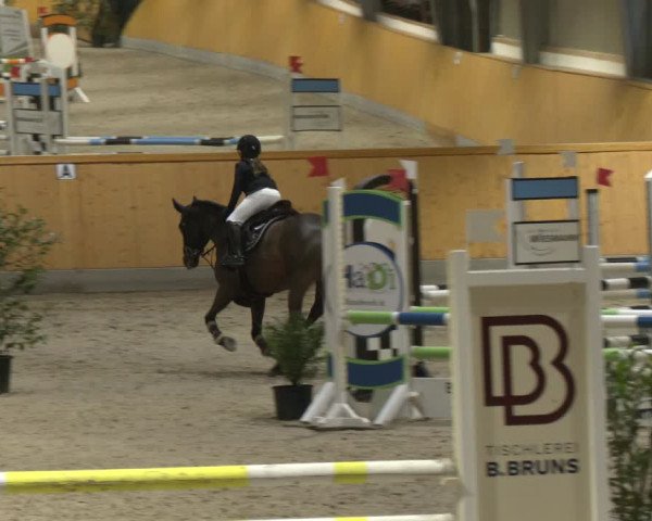 Reitturnier Münster-Amelsbüren 2024