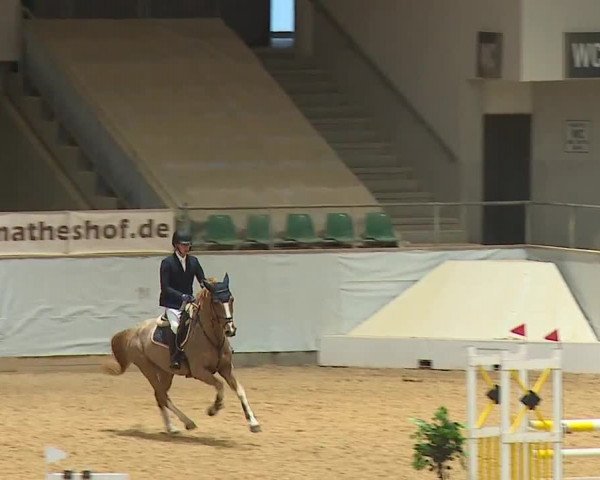 Reitturnier Kreuth/Opf. 2024