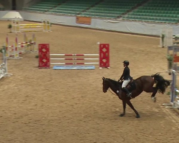 Reitturnier Kreuth/Opf. 2024