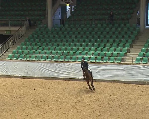 Reitturnier Kreuth/Opf. 2024